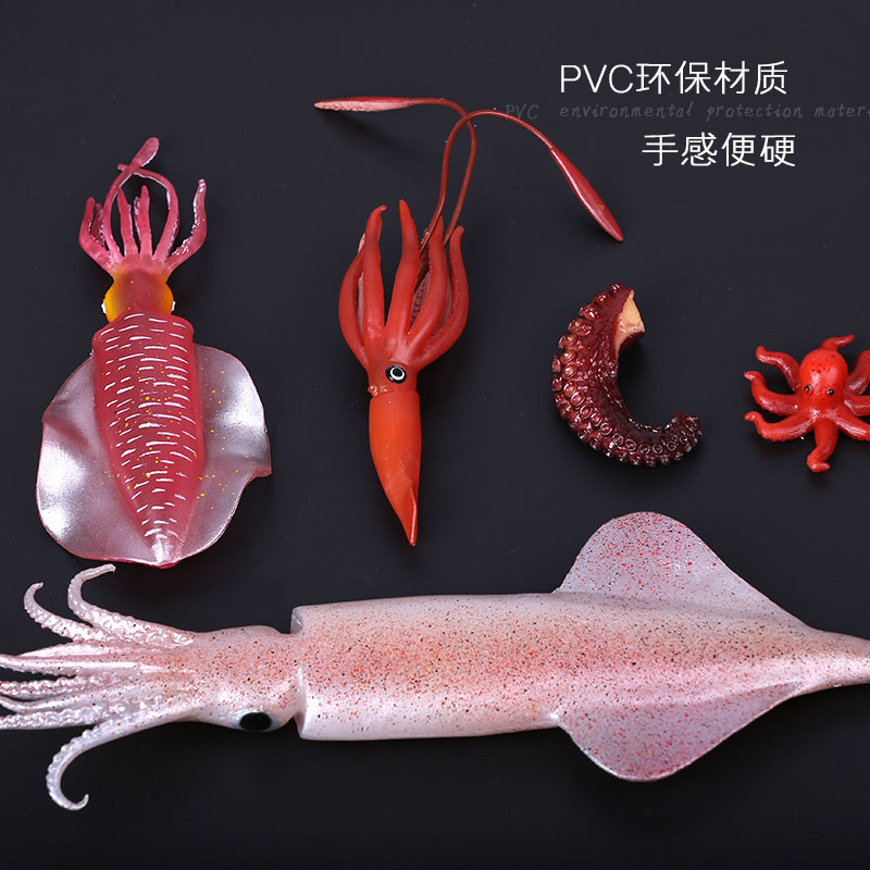Simulation Squid Model Kitchen - Photography Food review and price